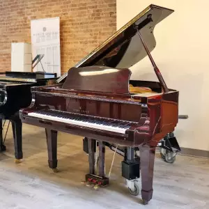 انواع پیانو یانگ چانگ